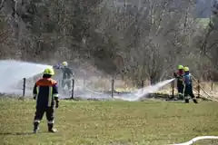 Brand im Halfinger Moos