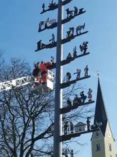 Der Maibaum in Bernau „is gschickt“