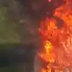 Anwohner verhindern Waldbrand