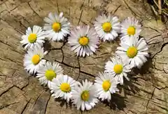 Die Sonne und du