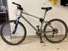 Dreister Fahrraddieb gestellt