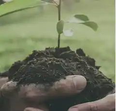 Alles drehte sich um den Klimaschutz