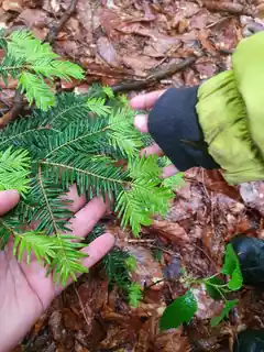 Raus in die Natur