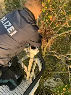 Junge Krähen gerettet