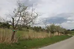 500 Obstbäume auf 20 Kilometern