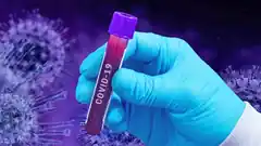 Kostenfreie Corona-Tests im Überblick