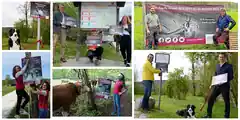 Wenn Hirsch und Kuh um Hilfe bitten