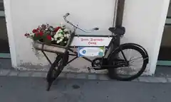 Bereits 12.100 Kilometer geradelt