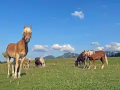 Idylle pur