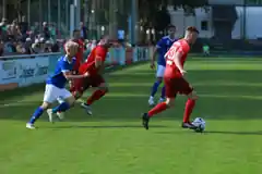 Löwen injizieren sich Punktespritze