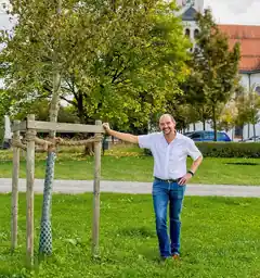 Ein Baum für Neugeborene