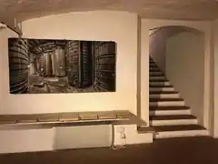 Der Blick durch vier Kameras