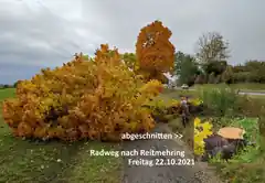 Baumfrevel in Reitmehring