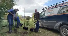 Für jede Wohnung einen Baum