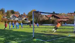 Ein gerechtes Remis