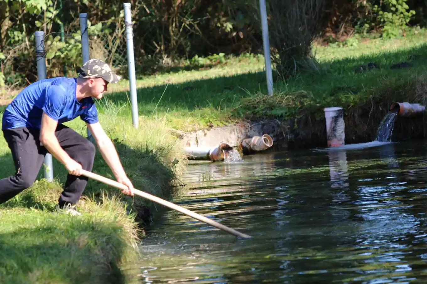 Nächste Woche frischer Fisch zum Abholen