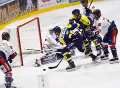 Es geht zu den „Wild Lions“