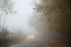 Sicher unterwegs bei Nebel