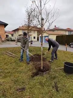 „Wir pflanzen einen Baum”