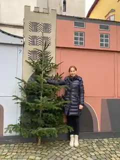 110 Christbäume vom WFV