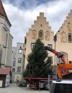 Die Christbäume sind da