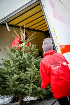 Wohin mit den Schmuckstücken?