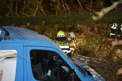 Fahrer kommt mit Schrecken davon