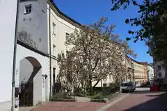 Viele offene und betreute Angebote