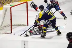 Löwen müssen dringend punkten