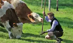 Zeit für: REGIONAL statt global