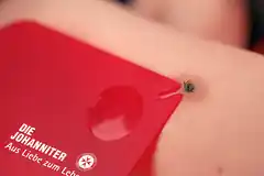 Gefährliche Blutsauger unterwegs