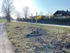 Baum zum dritten Mal gefällt
