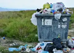 Schön verpackt – um welchen Preis?