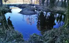 „Was blüht denn da?“