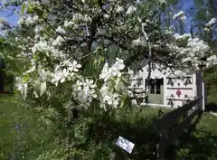 „Oarscheibn“ und Pflanzentausch