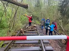 Altstadt-Bahntrasse: Ein Naturparadies unter der Lupe