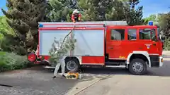 Feuerwehr hilft bei Bienen-Rettung