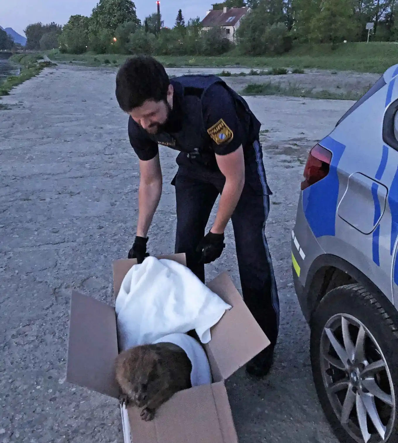 Versuchter Einbruch bei der Inspektion …