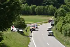 Mit Kleintransporter Baum „gefällt“