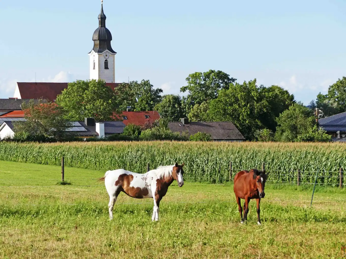 Vom „Weihertrail“ bis zum Biber