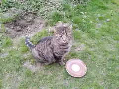 Wer hat Hexi gesehen?