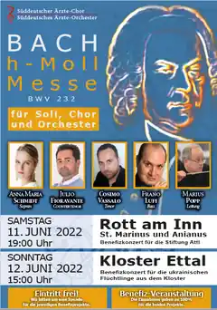 Die singenden Ärzte