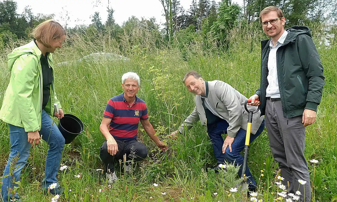 Wertvoller „Insektengarten Schnaitsee“