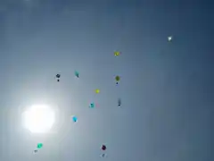 Ein Luftballon flog bis ins Rottal