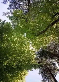 Waldbegehung mit dem Stadtförster