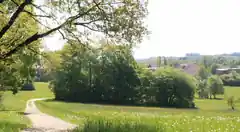 Infoabende für Angehörige Suchterkrankter
