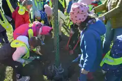 Ein Bäumchen zum 50. Schulgeburtstag
