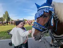 Festzug zum Haager Herbstfest brachte Tradition zurück