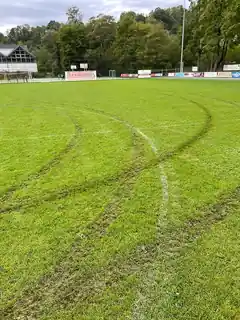 Mit dem Auto über den Fußballplatz