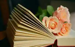 Lesen stärkt die Seele …